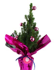Mini sapin à offrir