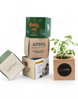 Cube en bois en kit de plantation