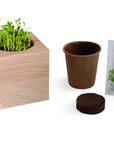 Cube en bois en kit de plantation