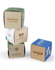 Cube en bois en kit de plantation