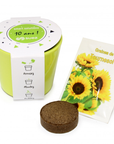 Kit en pot céramique pour plantation - xxl