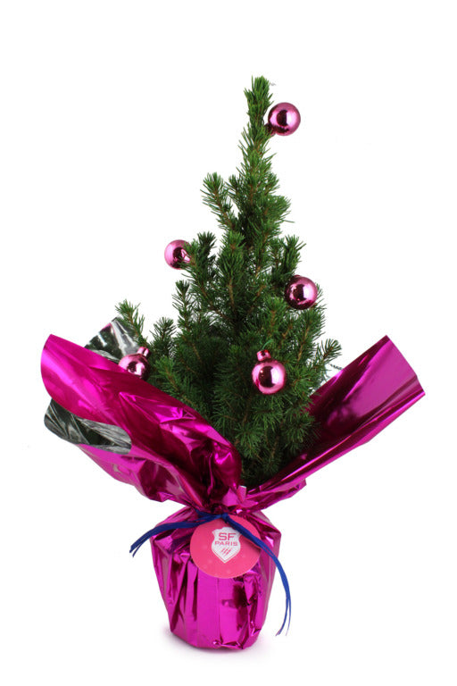 Mini sapin à offrir